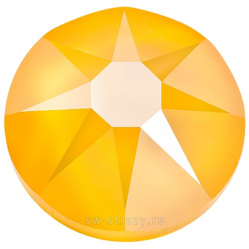 2088 ss 16 Crystal Buttercup F